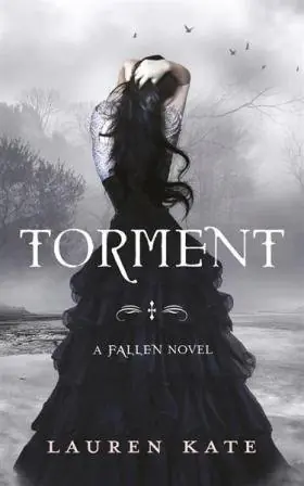 Książka - Torment