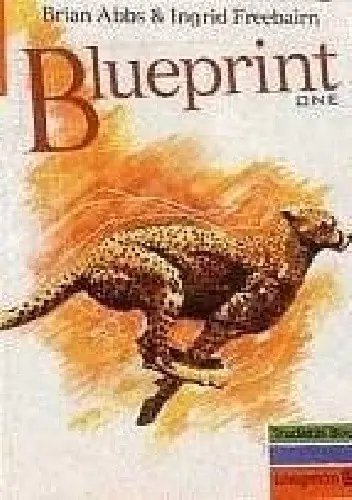 Książka - Blueprint one