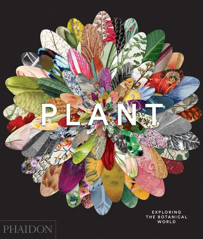 Książka - Plant: Exploring the Botanical World
