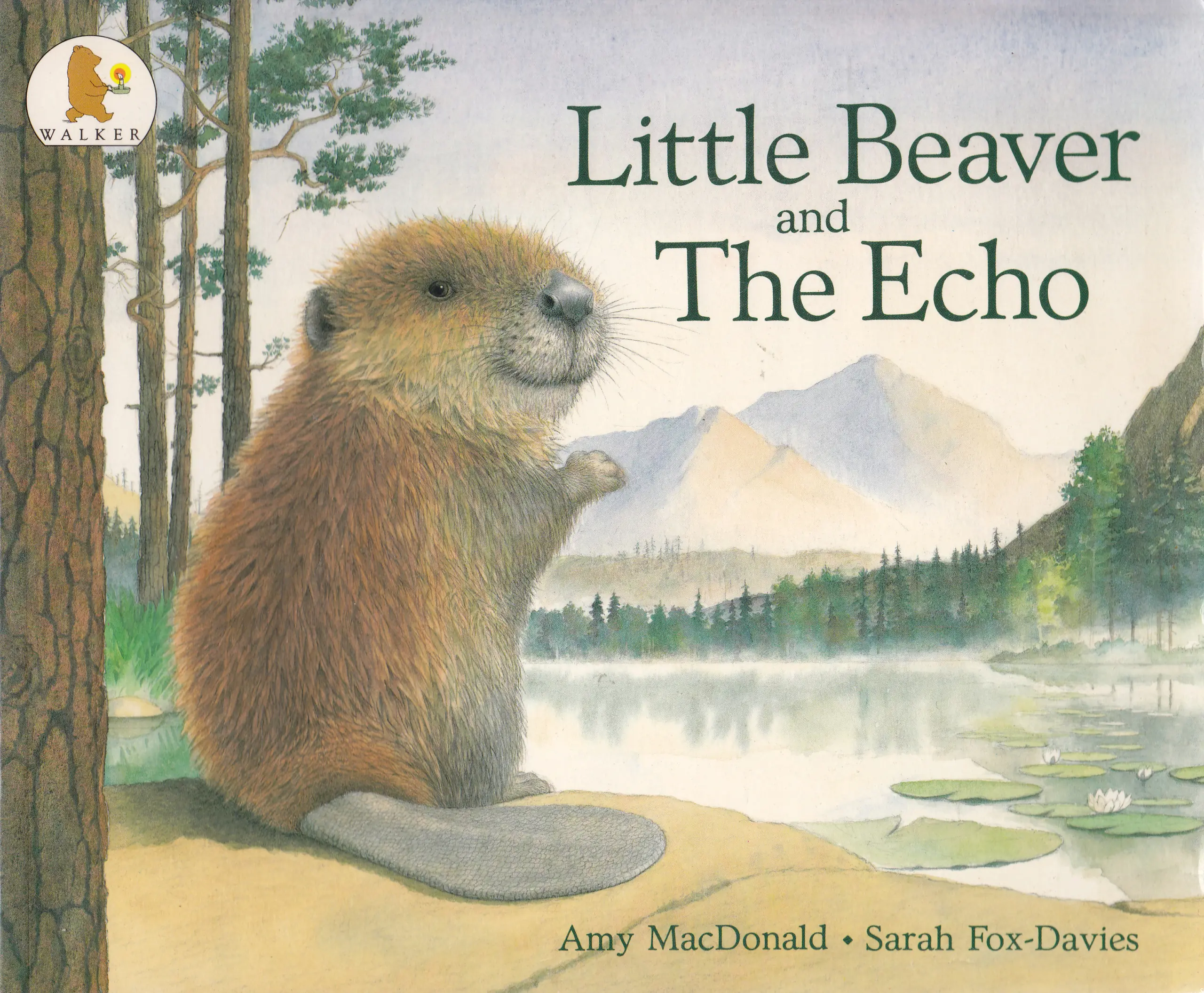 Książka - Little Beaver and the Echo