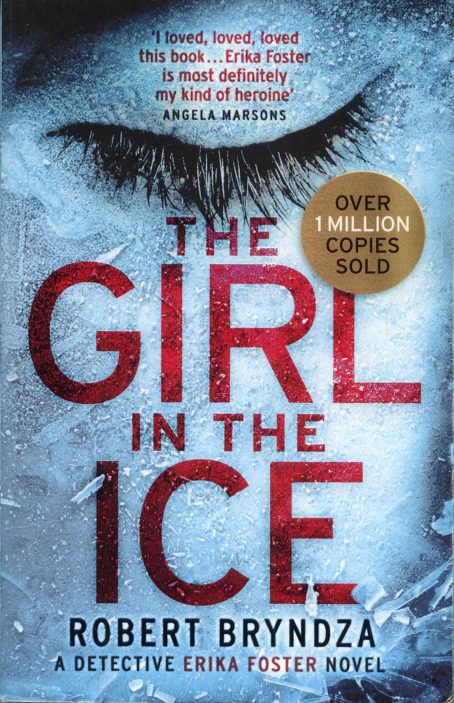 Książka - The Girl in the Ice