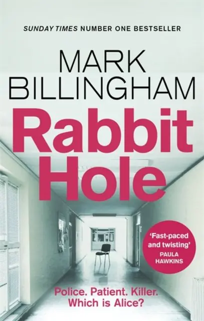 Książka - Rabbit Hole: The new masterpiece from the Sunday Times number one bestseller
