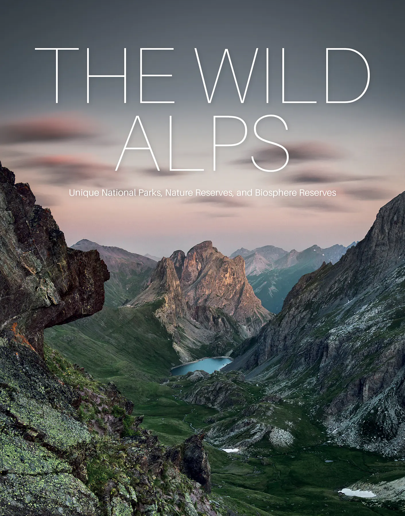Książka - The Wild Alps