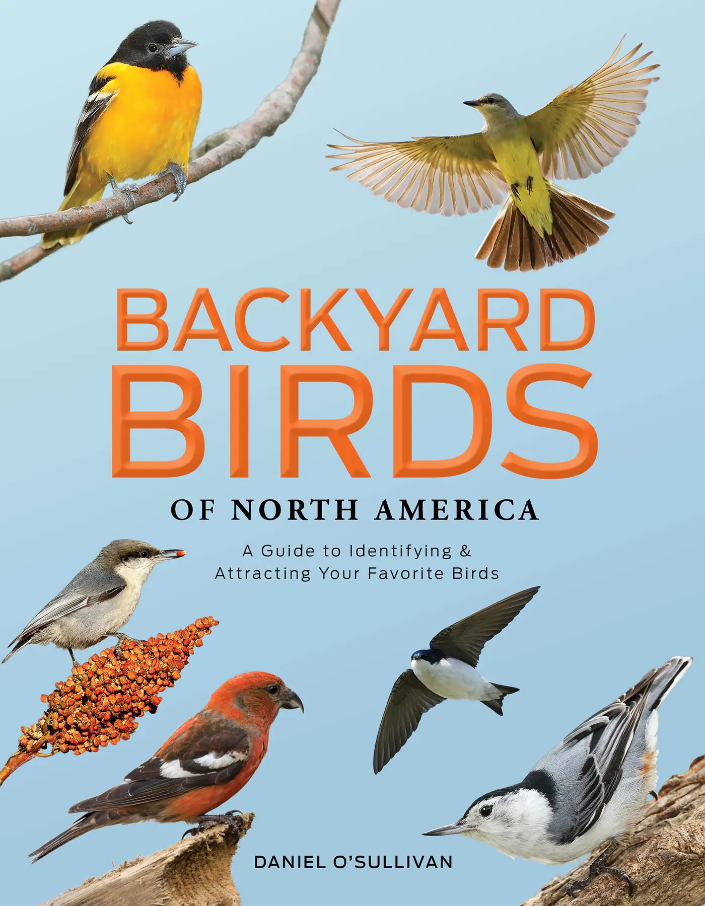 Książka - Backyard Birds of North America