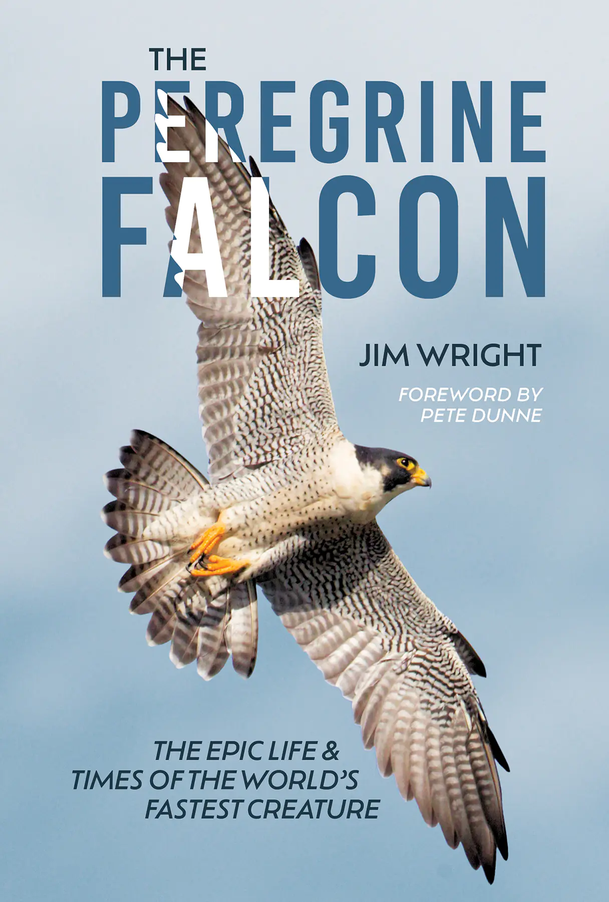 Książka - The Peregrine Falcon