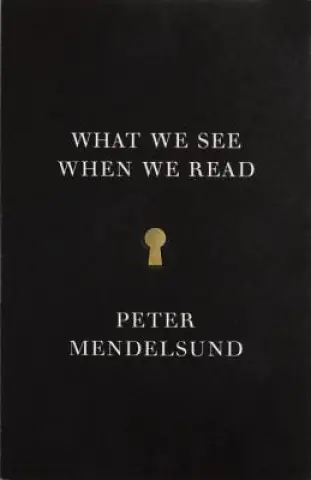 Książka - What We See When We Read