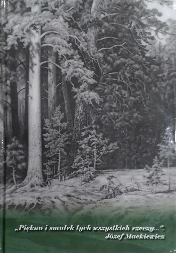 Książka - Piękno i smutek tych wszystkich rzeczy..