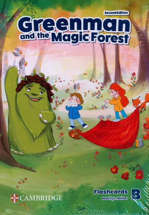 Książka - Greenman and the Magic Forest Level B Flashcards