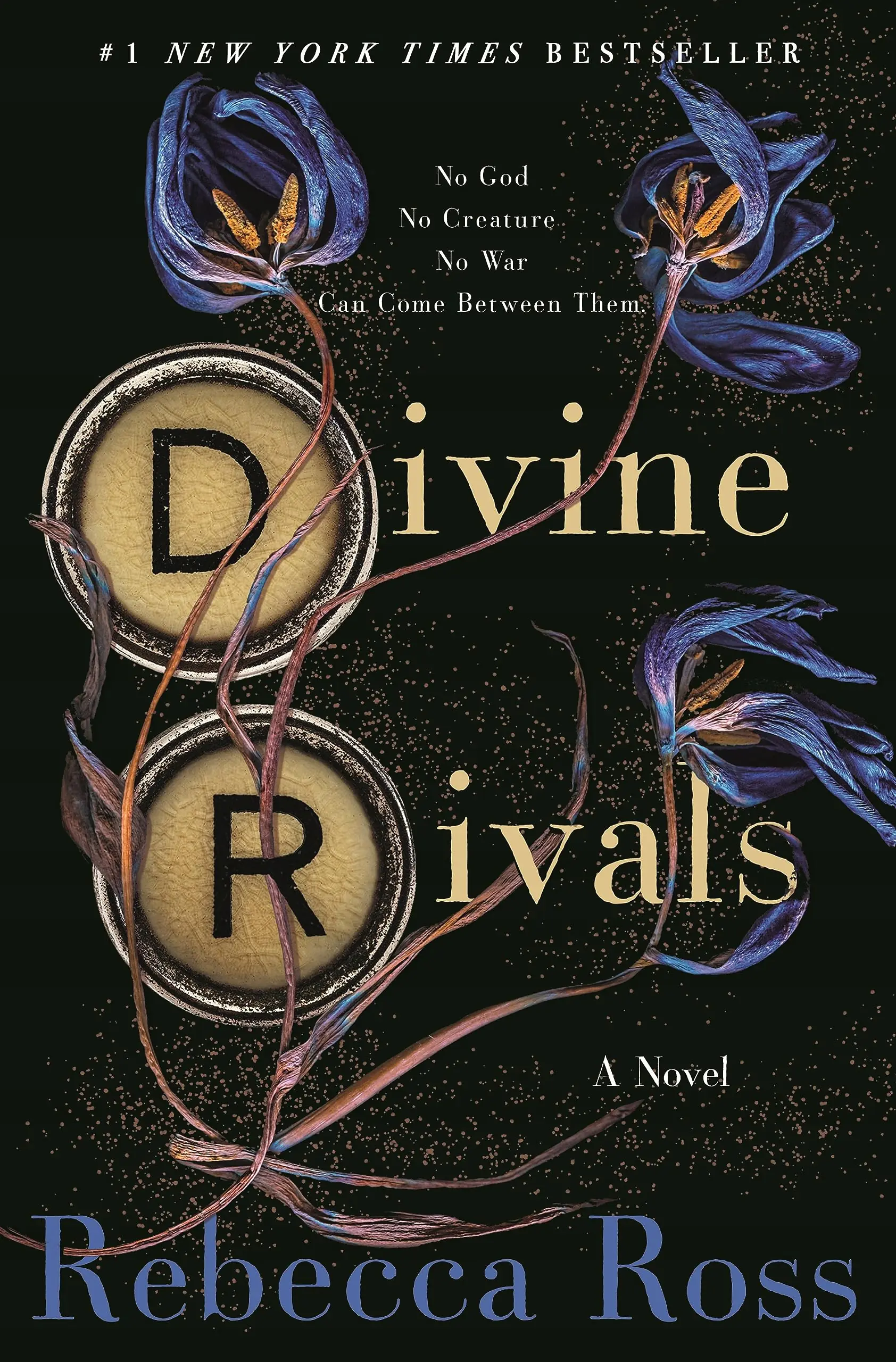 Książka - Divine Rivals