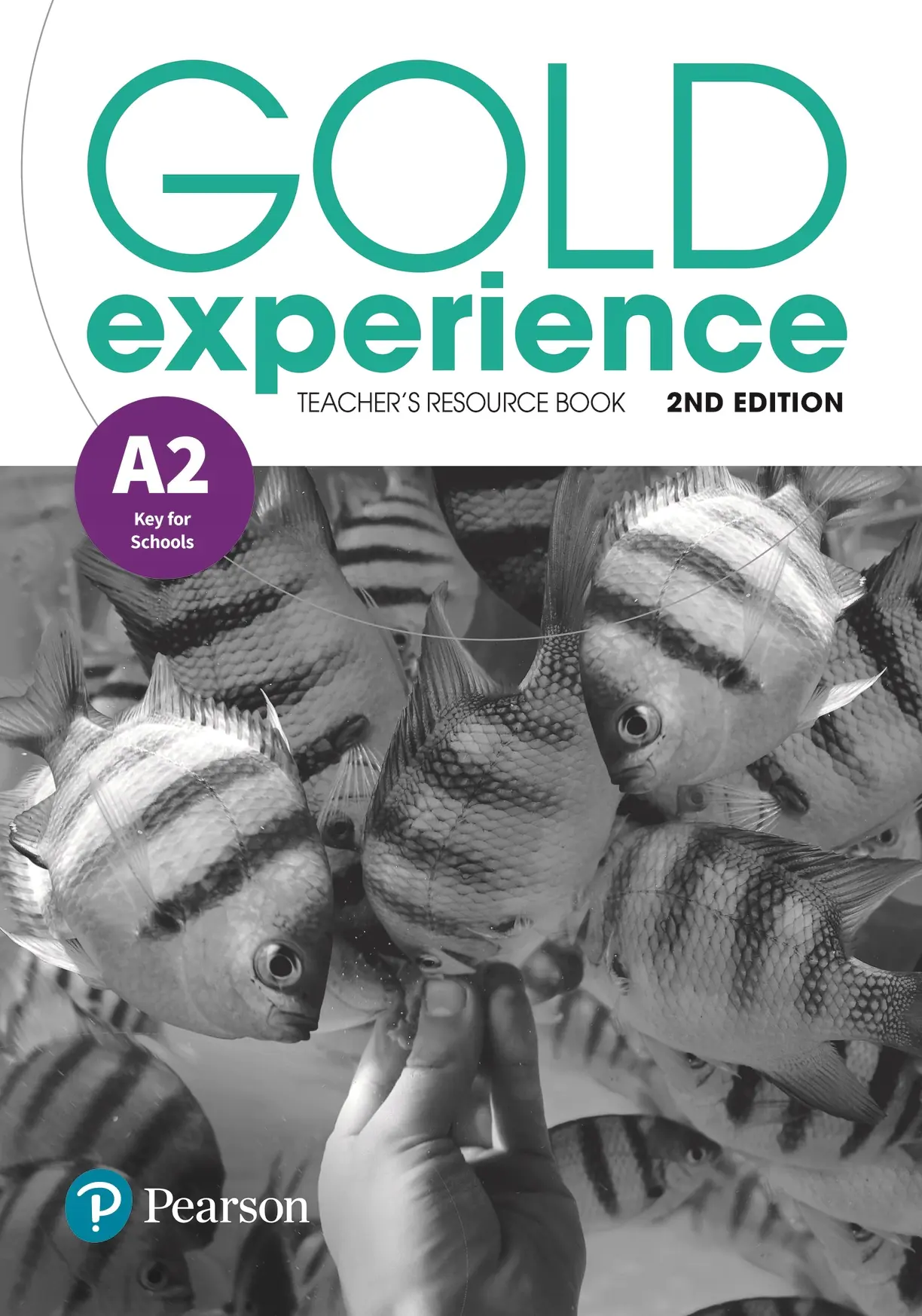 Książka - Gold Experience 2ed A2 Teacher`s Resource Book