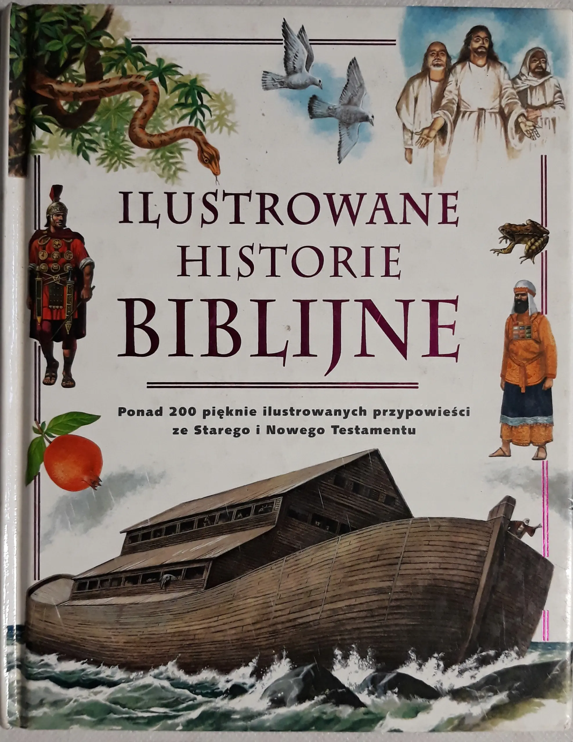 Książka - Ilustrowane historie biblijne