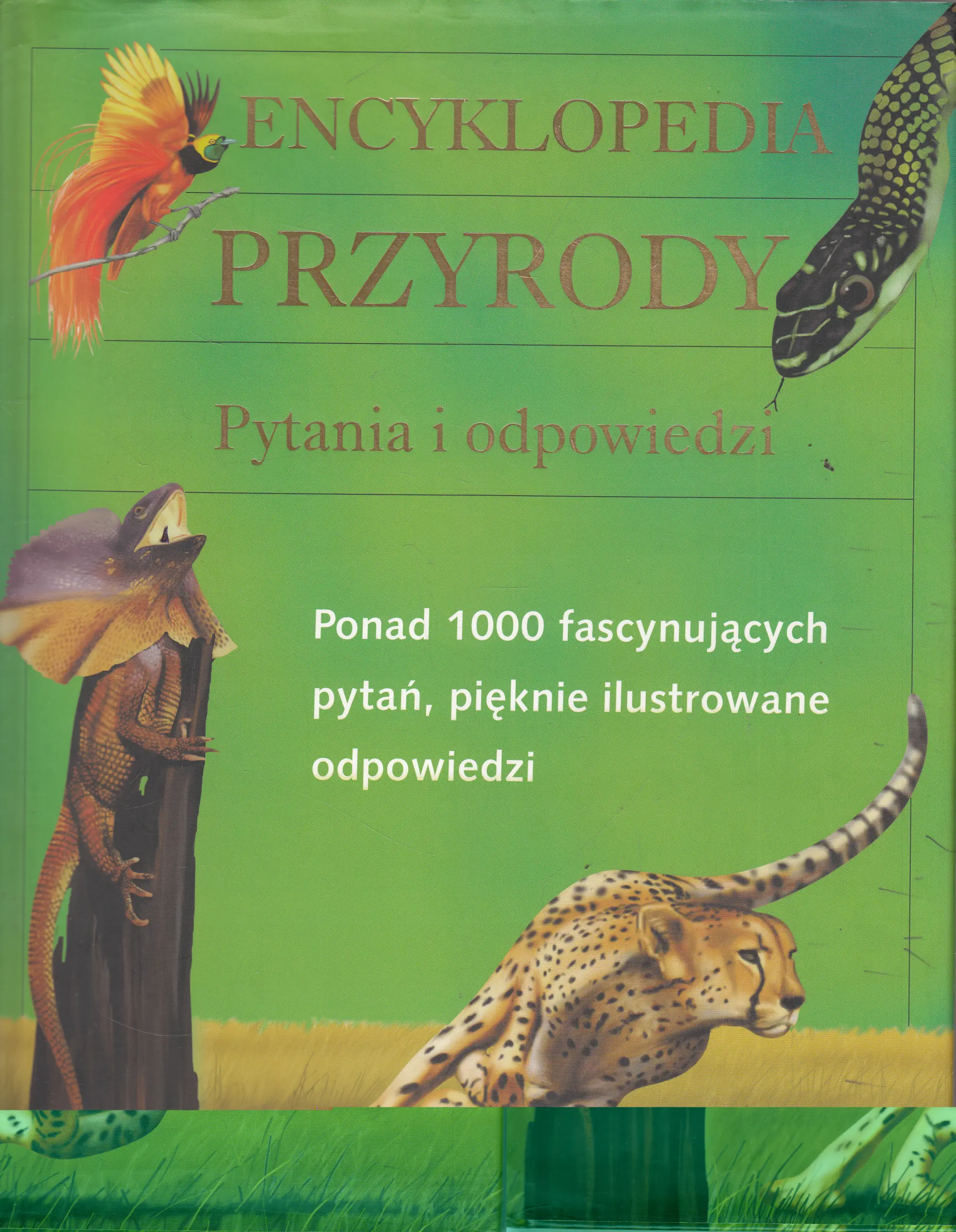 Książka - Encyklopedia Przyrody. Pytania i Odpowiedzi
