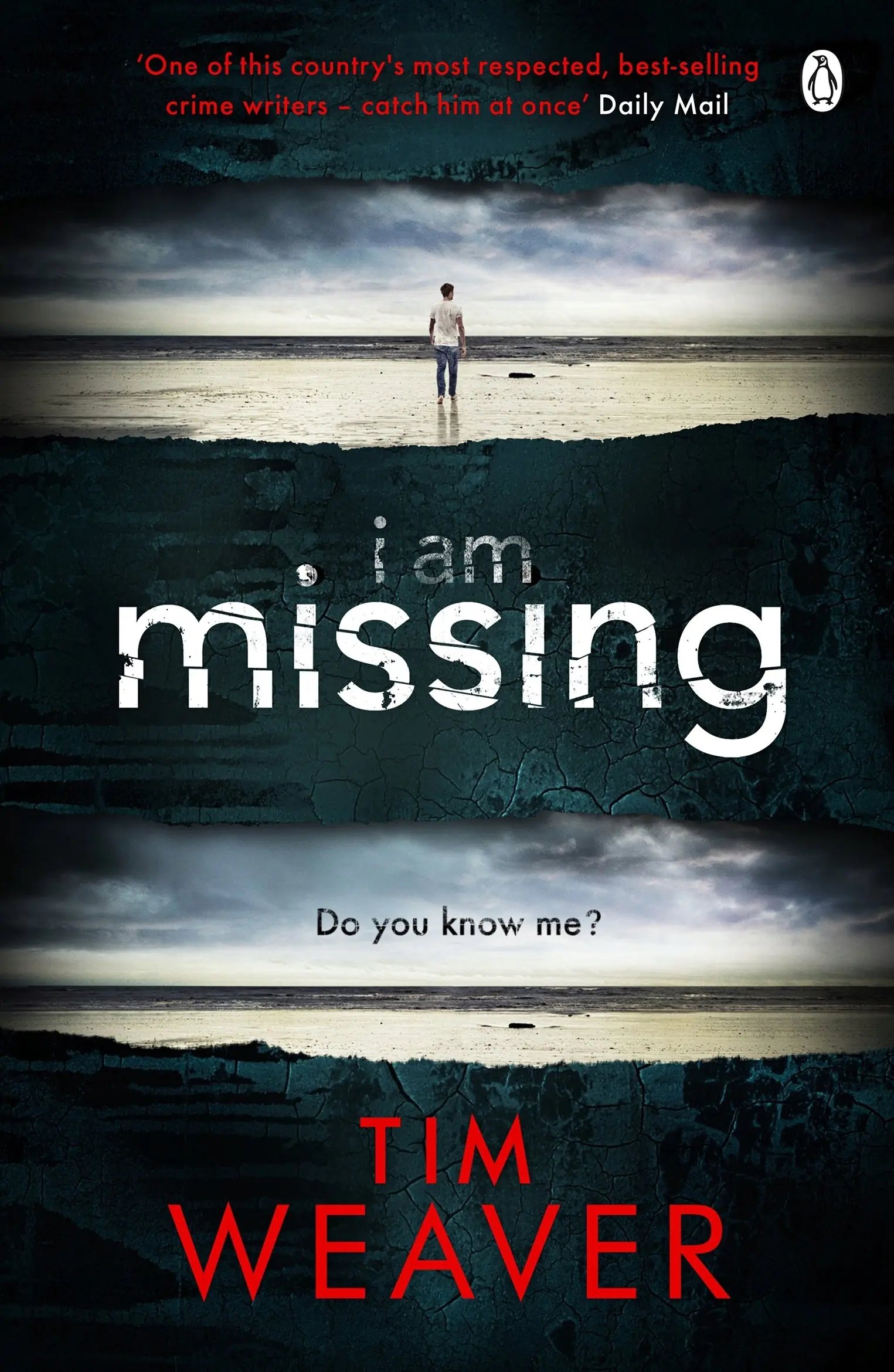 Książka - I am Missing