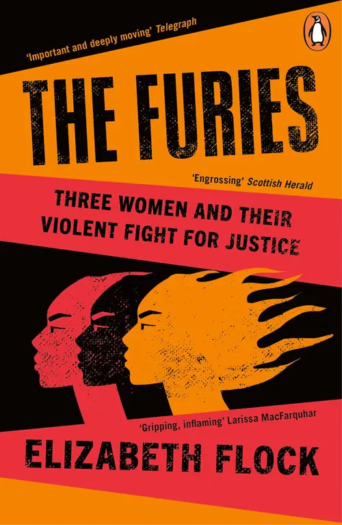 Książka - The furies wer. angielska