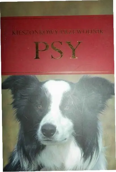 Książka - Psy. Kieszonkowy przewodnik