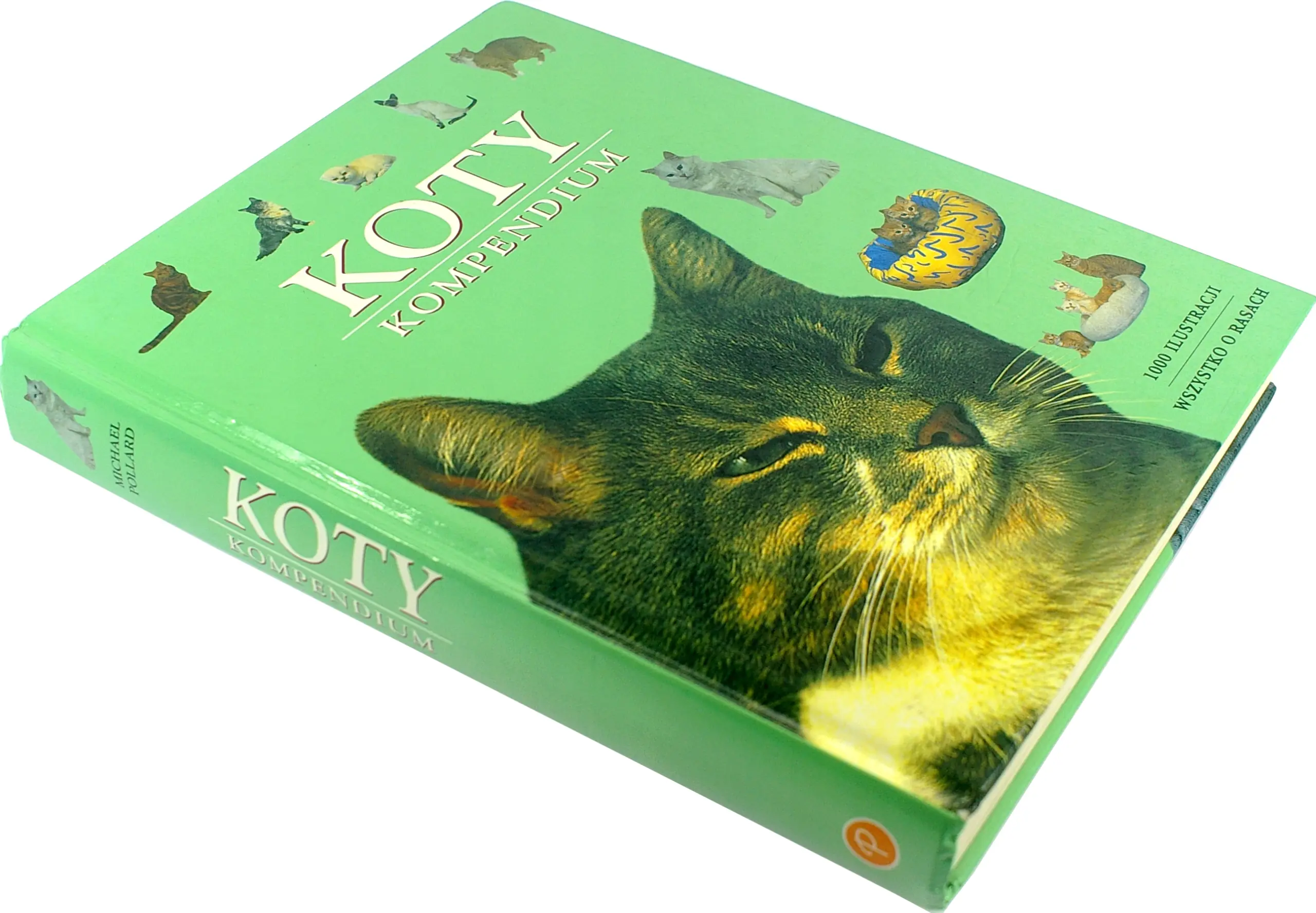 Książka - Koty. Kompedium