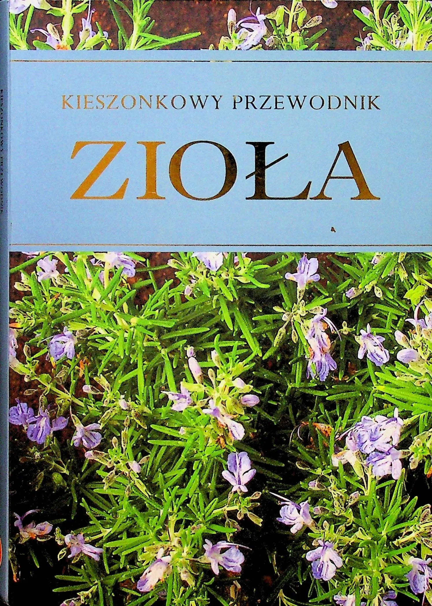 Książka - Zioła. Kieszonkowy przewodnik