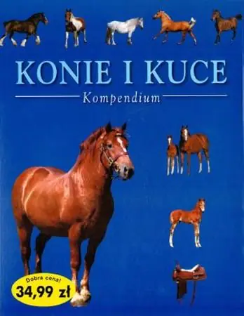 Książka - Konie i kuce. Kompendium