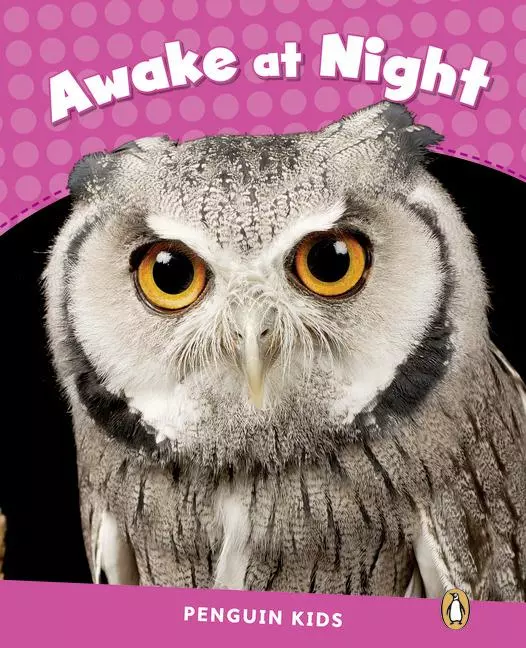 Książka - Level 2: Awake at Night CLIL