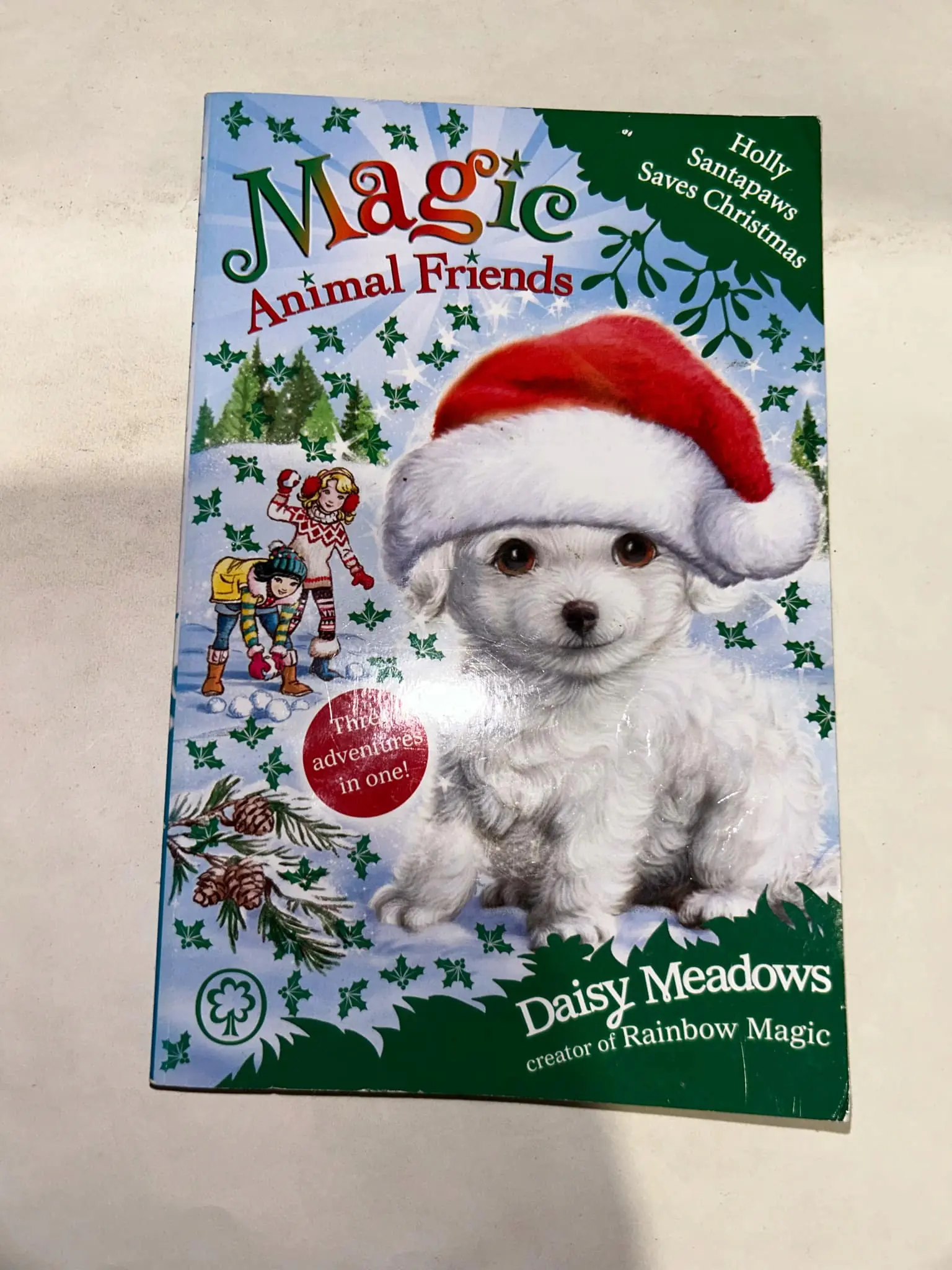Książka - Magic Animals Friends
