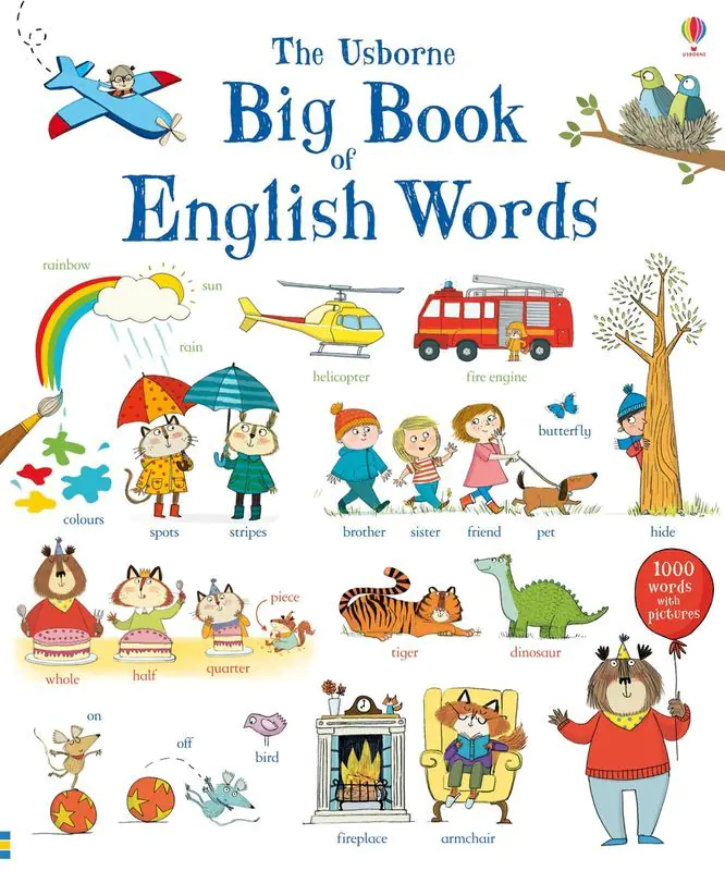 Książka - The Big book of English words