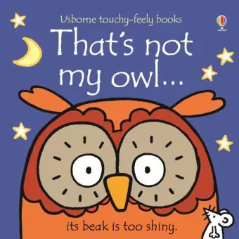Książka - That's Not My Owl