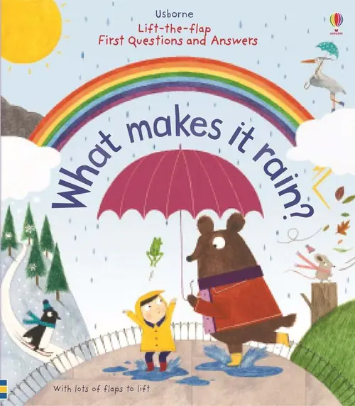 Książka - Lift-the-Flap First Questions and Answers What Makes it Rain?