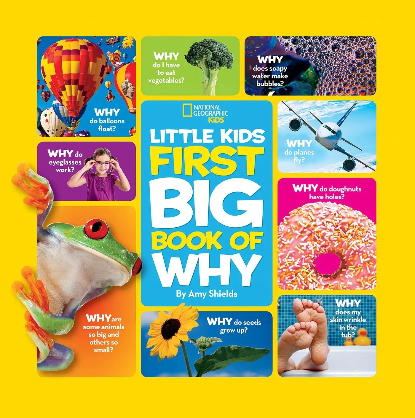 Książka - Little Kids First Big Book of Why
