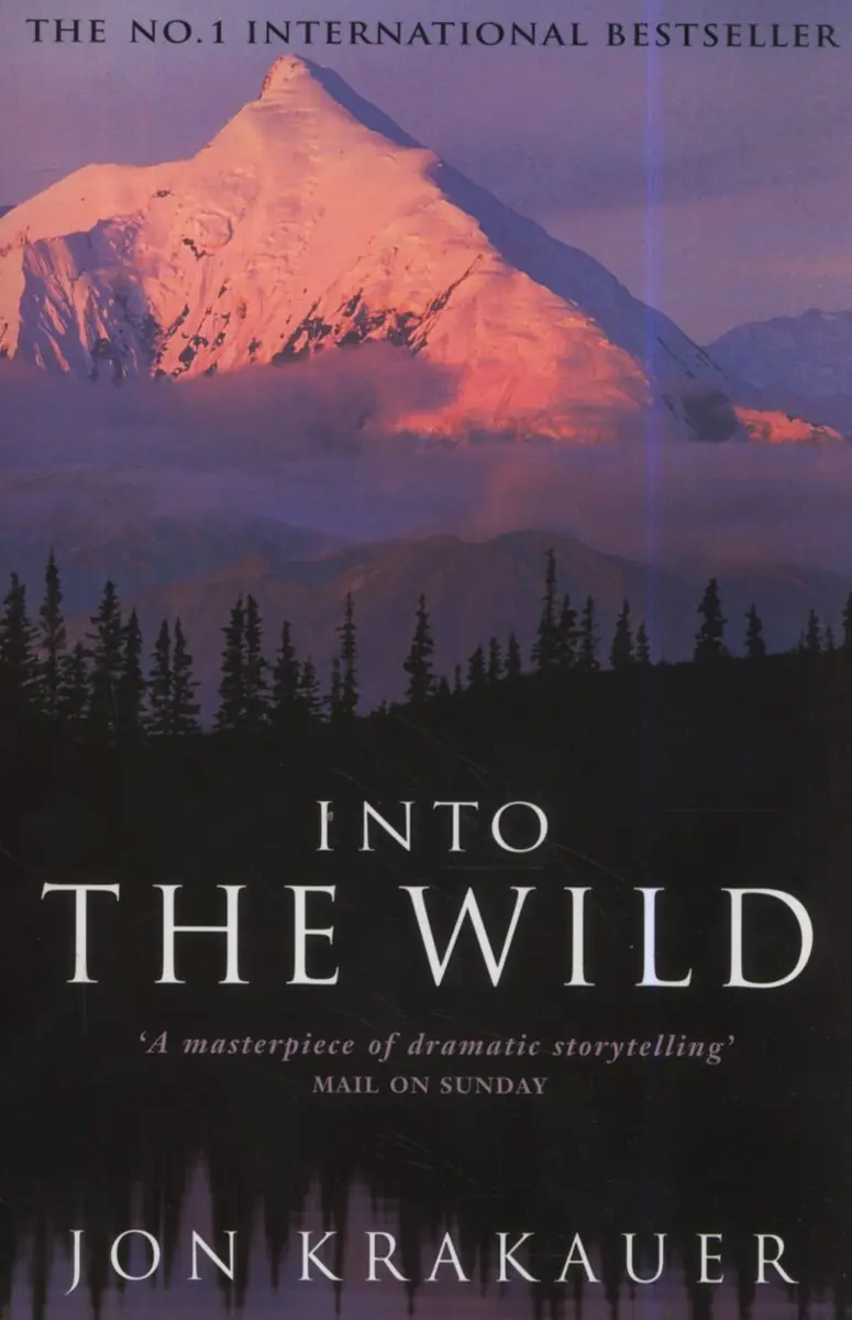 Książka - Into the Wild