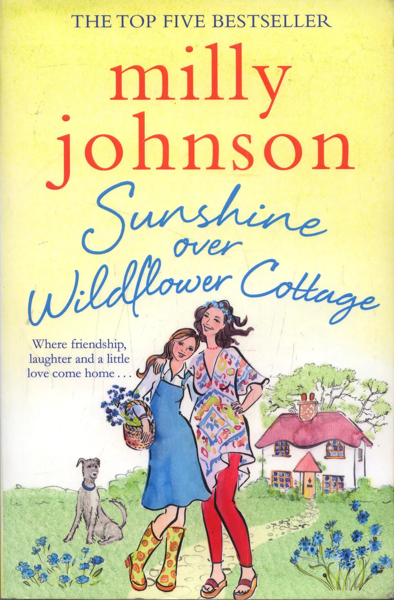 Książka - Sunshine over Wildflower Cottage
