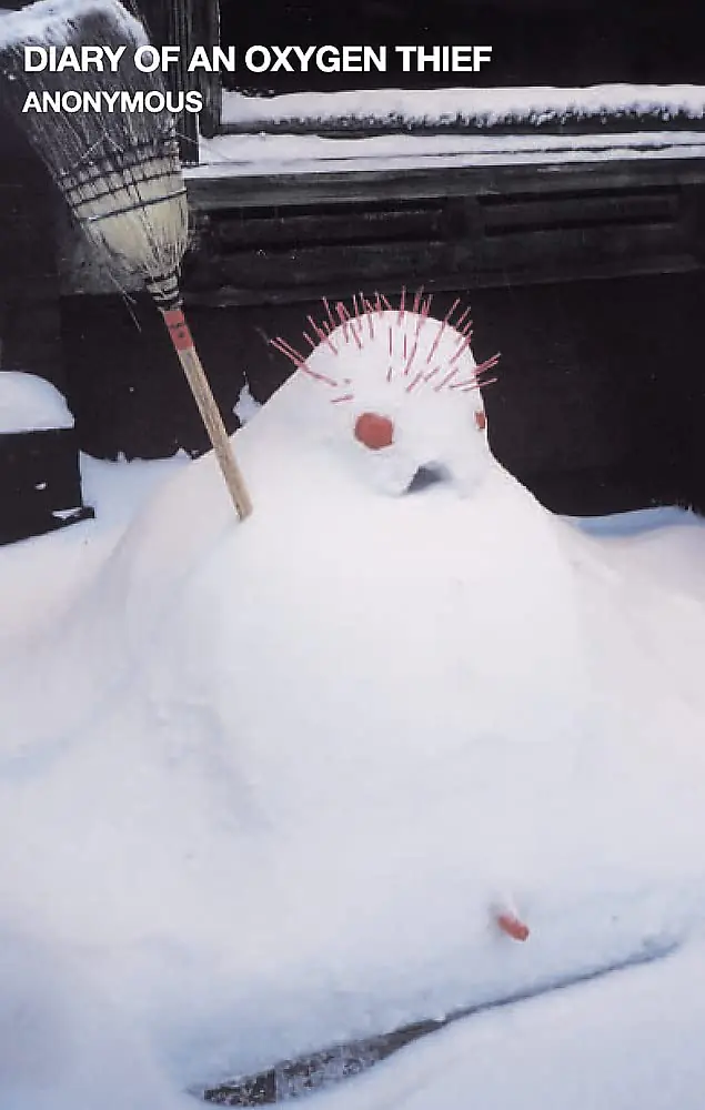 Książka - Diary of an Oxygen Thief