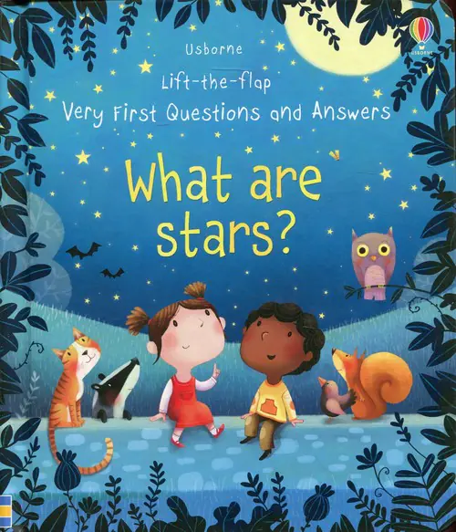 Książka - What are Stars?