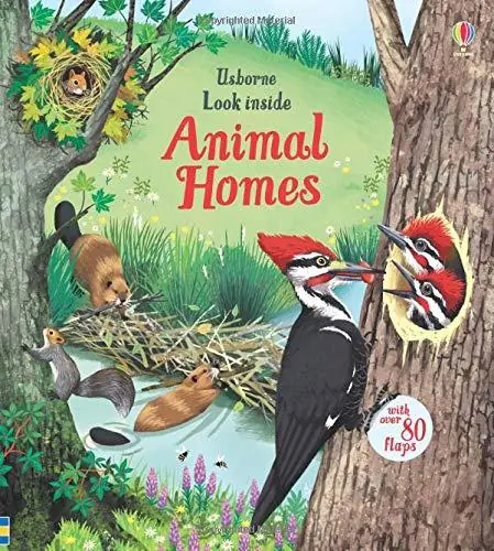 Książka - Look Inside Animal Homes