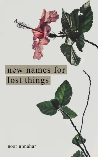 Książka - New Names for Lost Things