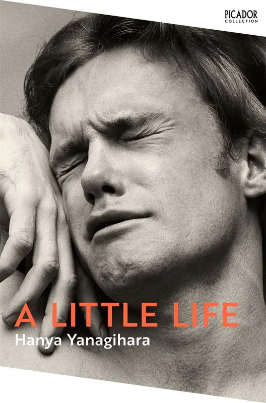 Książka - Little Life