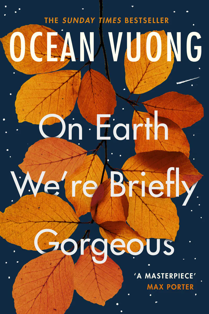 Książka - On Earth We're Briefly Gorgeous