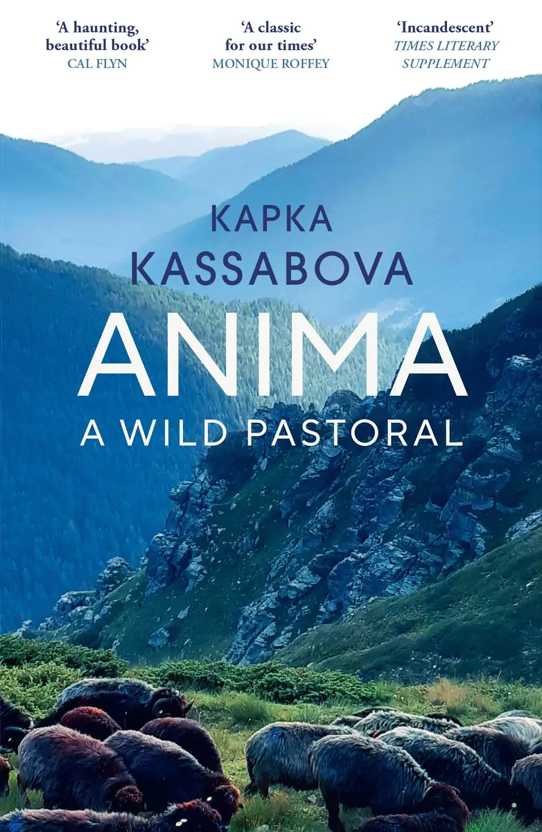 Książka - Anima