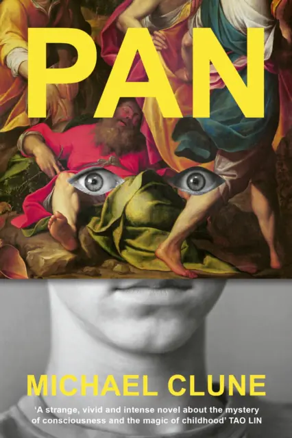 Książka - Pan