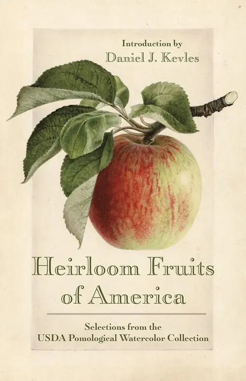 Książka - Heirloom Fruits of America