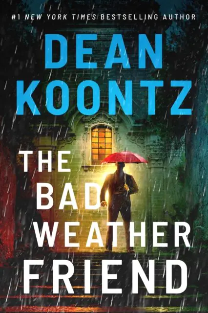 Książka - The Bad Weather Friend wer. angielska