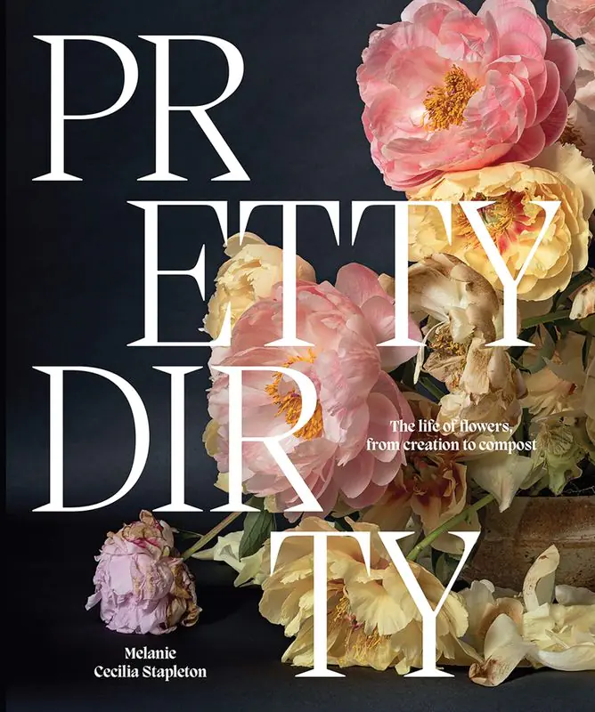 Książka - Pretty Dirty