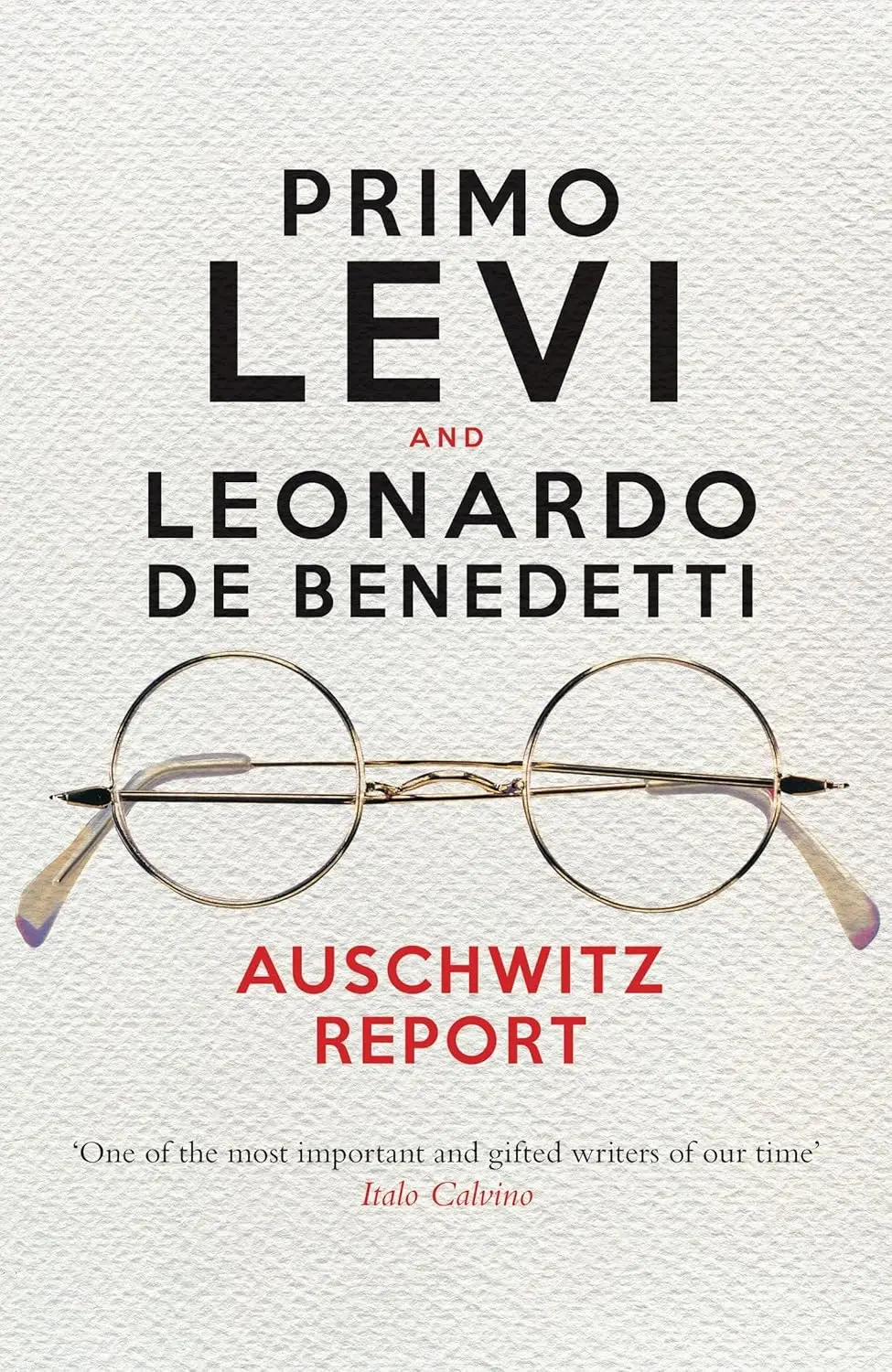 Książka - Auschwitz Report