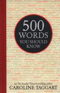 Książka - 500 Words You Should Know