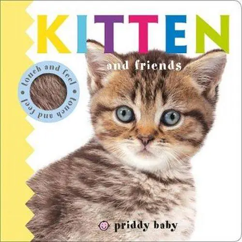 Książka - Kitten and Friends