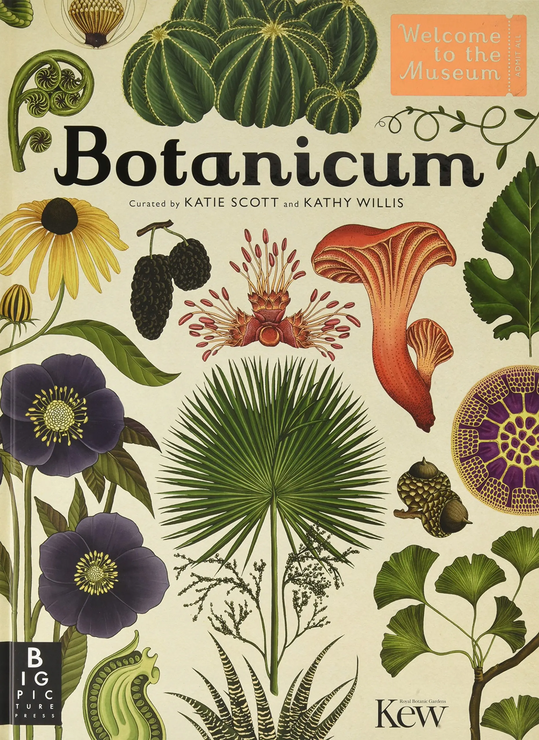 Książka - Botanicum