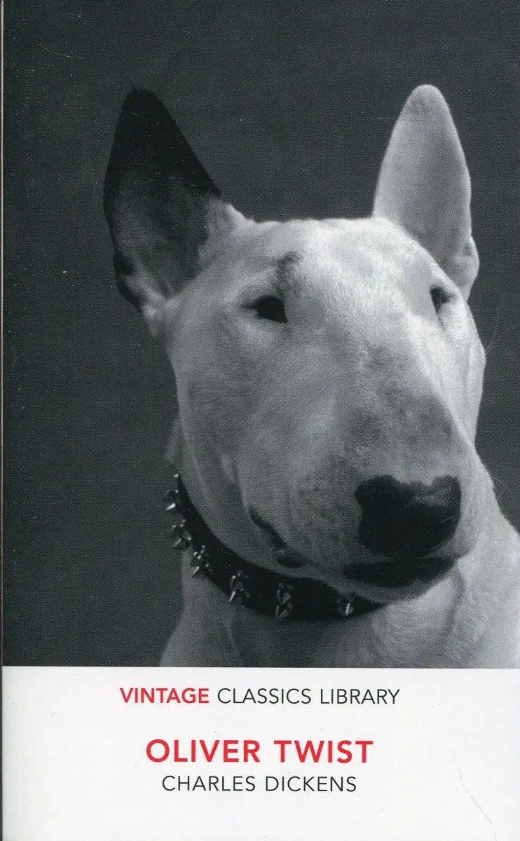 Książka - Oliver Twist