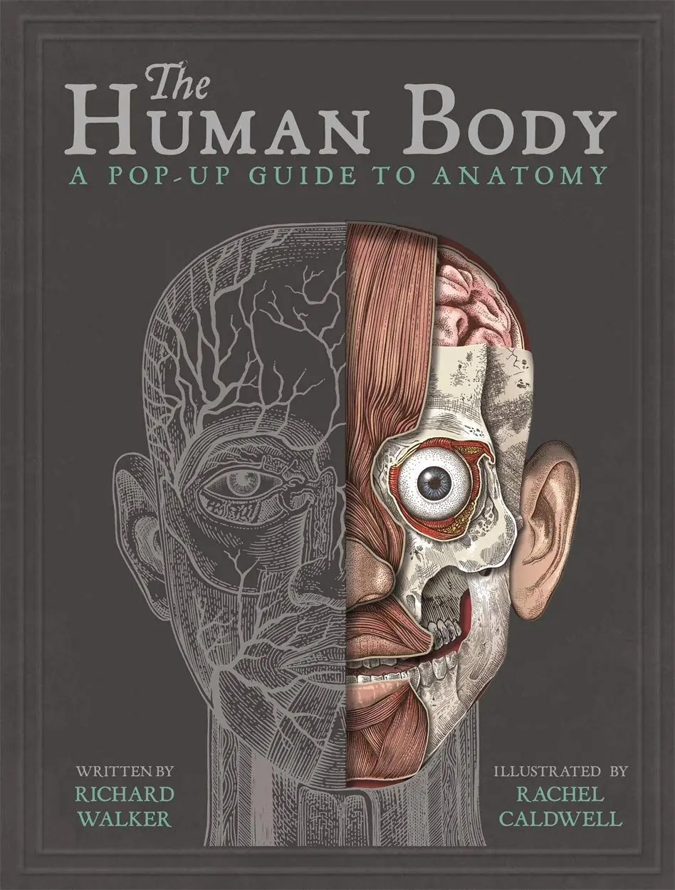 Książka - The Human Body: A Pop-Up Guide to Anatomy
