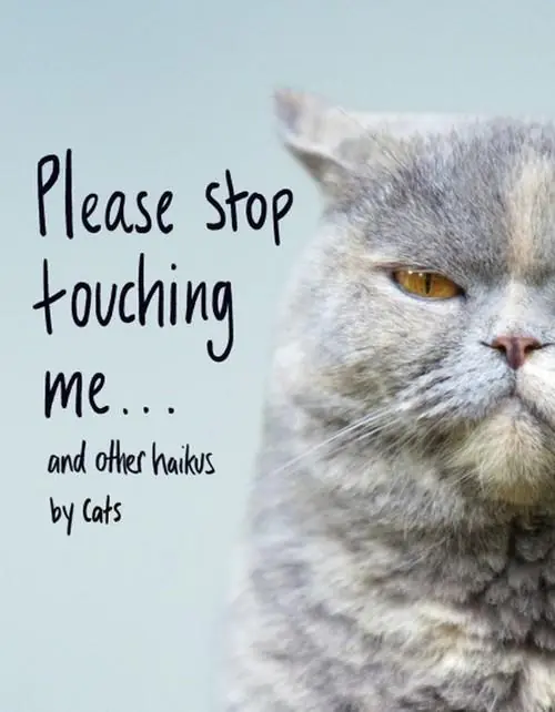 Książka - Please Stop Touching Me ... and Other Haikus by Cats