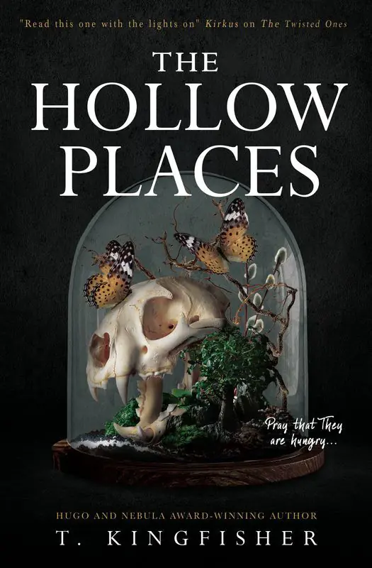 Książka - The Hollow Places
