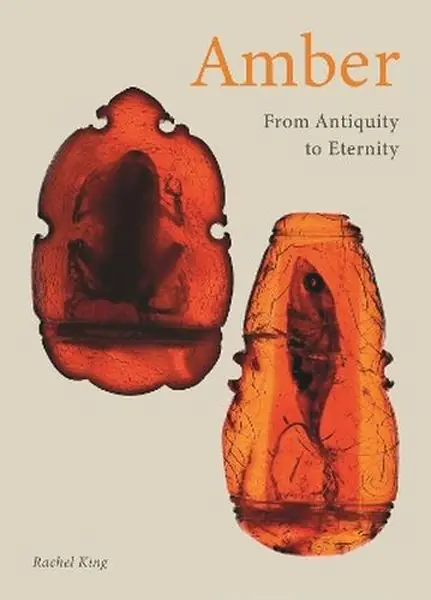 Książka - Amber. From Antiquity to Eternity